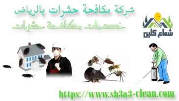 شركة مكافحة حشرات بالرياض