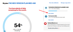 verizon check data