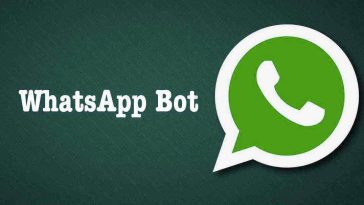 use WhatsApp as a search engine