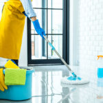 تنظيف المنزل من الغبار والحشرات