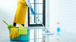 تنظيف المنزل من الغبار والحشرات