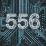 556 area code