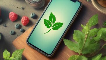 mint family plan