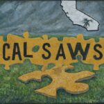 what is calsaws