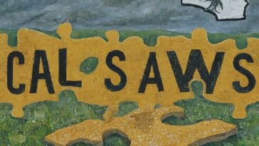 what is calsaws