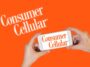 consumer cellular aarp 55