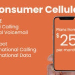 consumer cellular customer