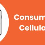 Consumer Cellular iPad plans