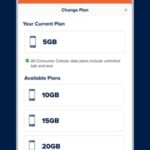 consumer cellular ipad data plan