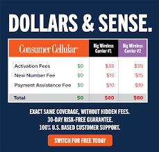 rates for consumer cellular