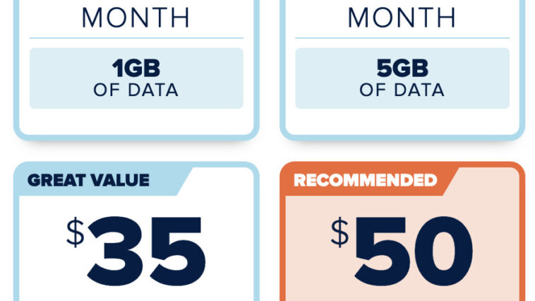 unlimited data consumer cellular