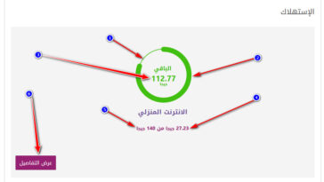 معرفة استهلاك باقة النت للموبايل والنت الأرضي في مصر
