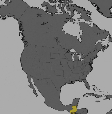 131 area code usa