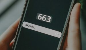 663 area code mexico