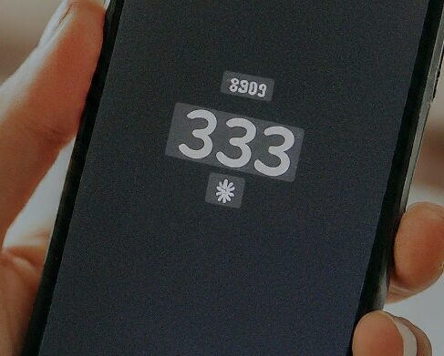 what area code is 333