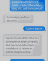 50204 text