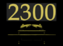 short code 2300