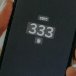 333 area code