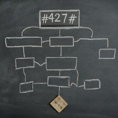 #427# quick code