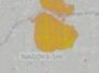 area code 462