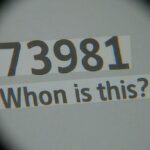 73981 text