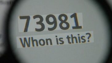 73981 text