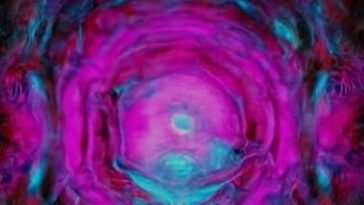 what is magenta portal