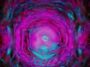 what is magenta portal