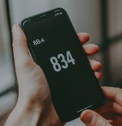 area code 834