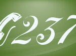 the 237 area code