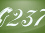 the 237 area code