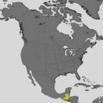 The 131 Area Code