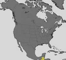 The 131 Area Code