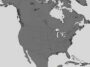 The 131 Area Code