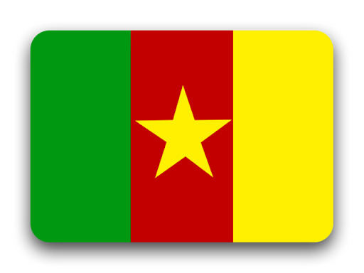 The +237 Country Code