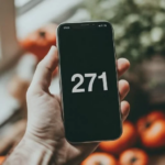 The 271 area code