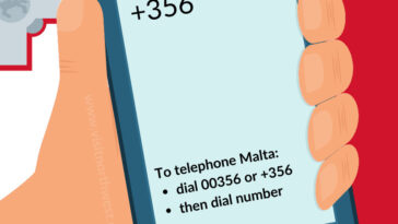 The 356 area code