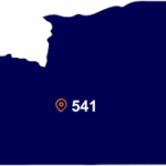 The 541 area code