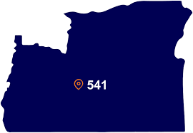 The 541 area code