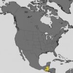 the 131 area code