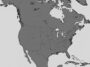 the 131 area code