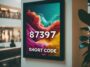 the 87397 Text Message