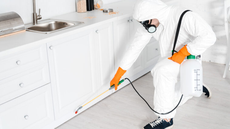 شركة مكافحة حشرات بجدة