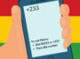 Area code 233