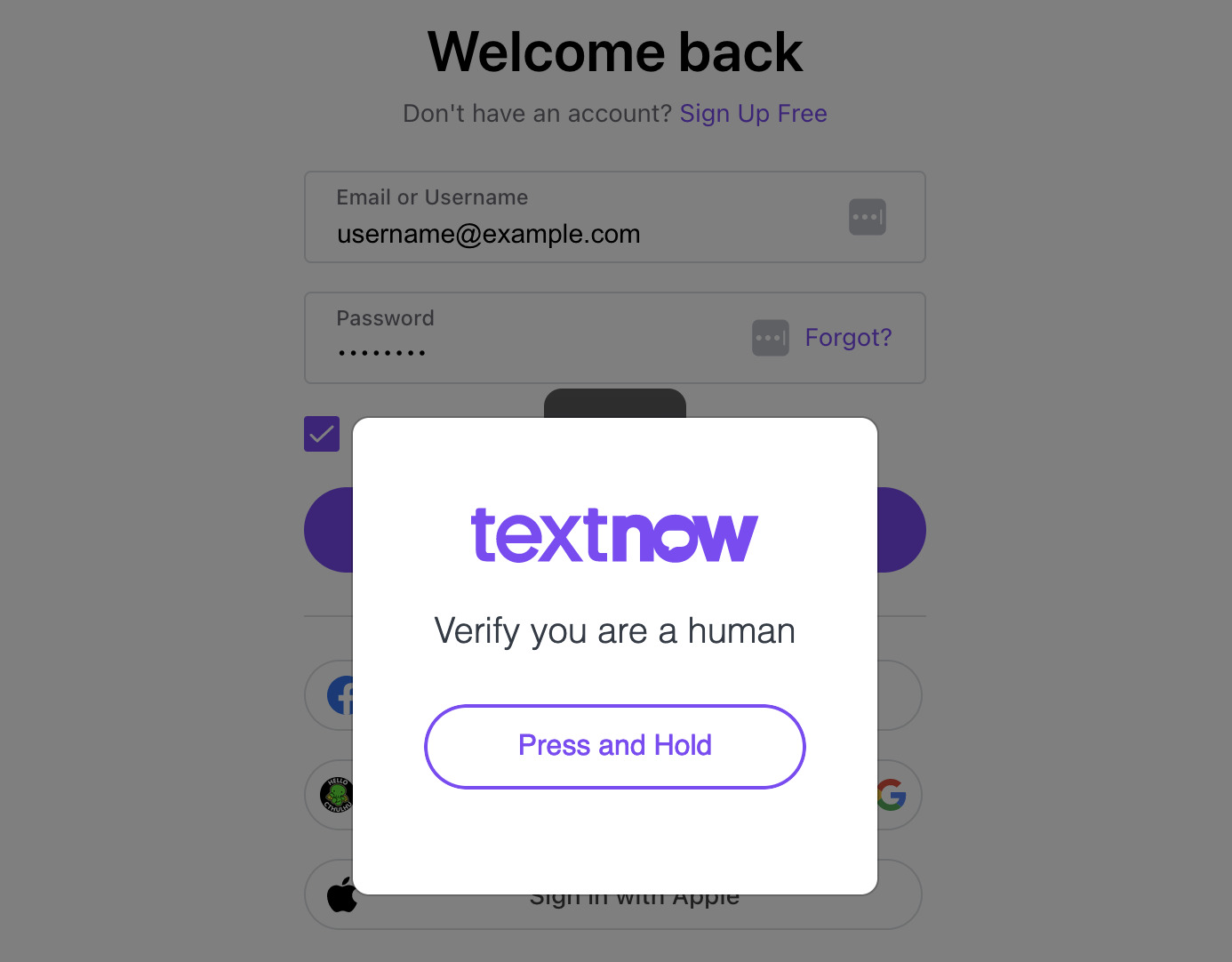 TextNow Web Messages