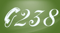 The 238 area code
