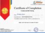 Google SEO Certificate