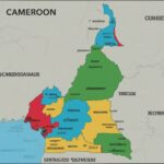 The +237 country code