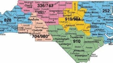 the 336 area code