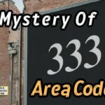 the area code 333